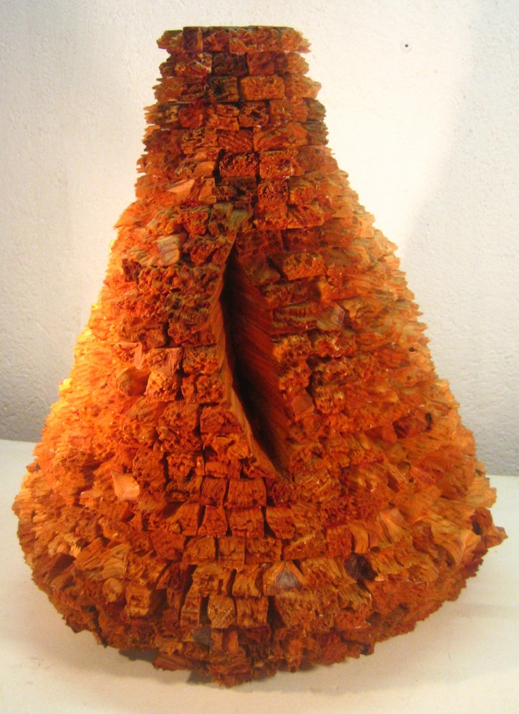 LAMINA 5 2002 copia