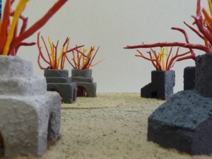 focs 24