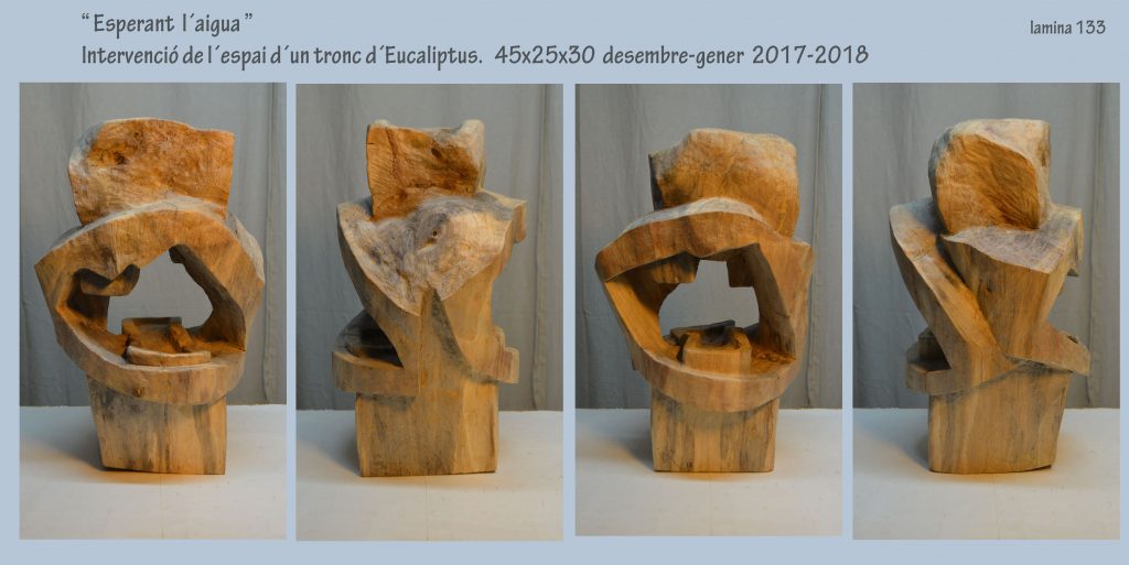 LAMINA 133 2018